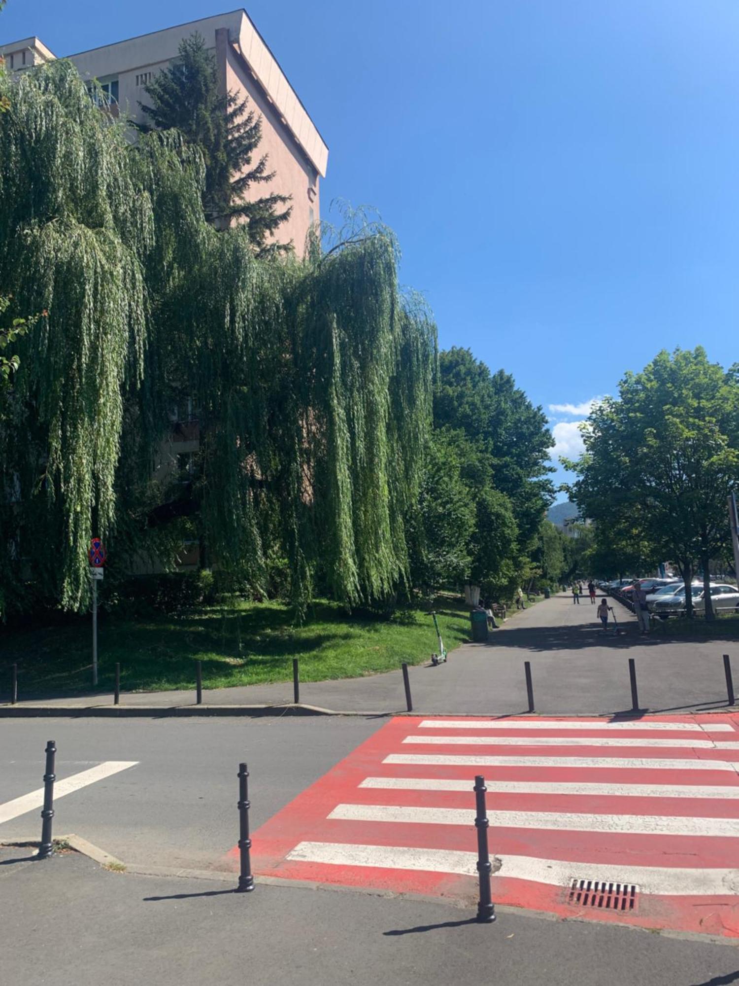Victoriei Boulevard Private Apartment Brașov Exterior foto